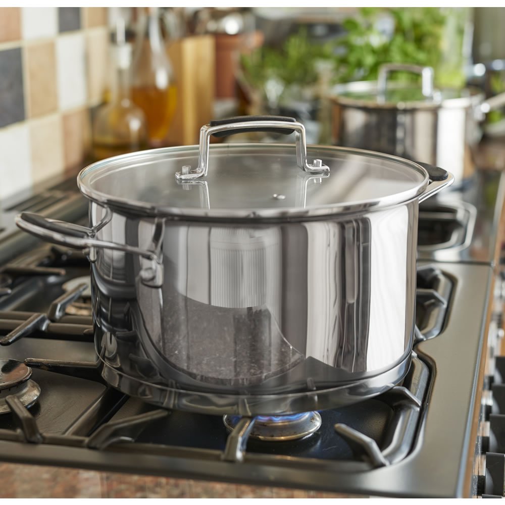 Wilko Stainless Steel Stock Pot 24cm Wilko