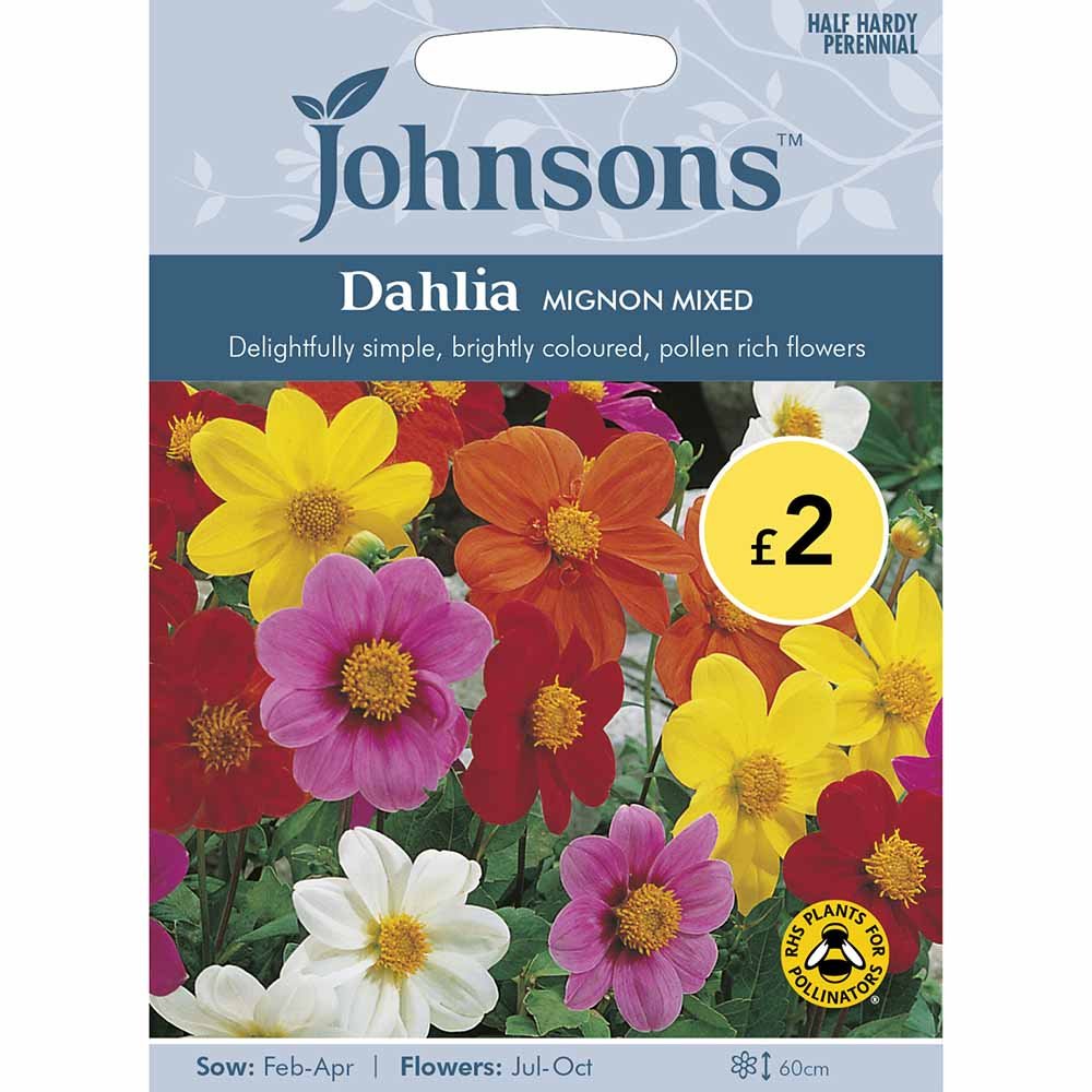 Johnsons Seeds Dahlia Mignon Mixed Image 2