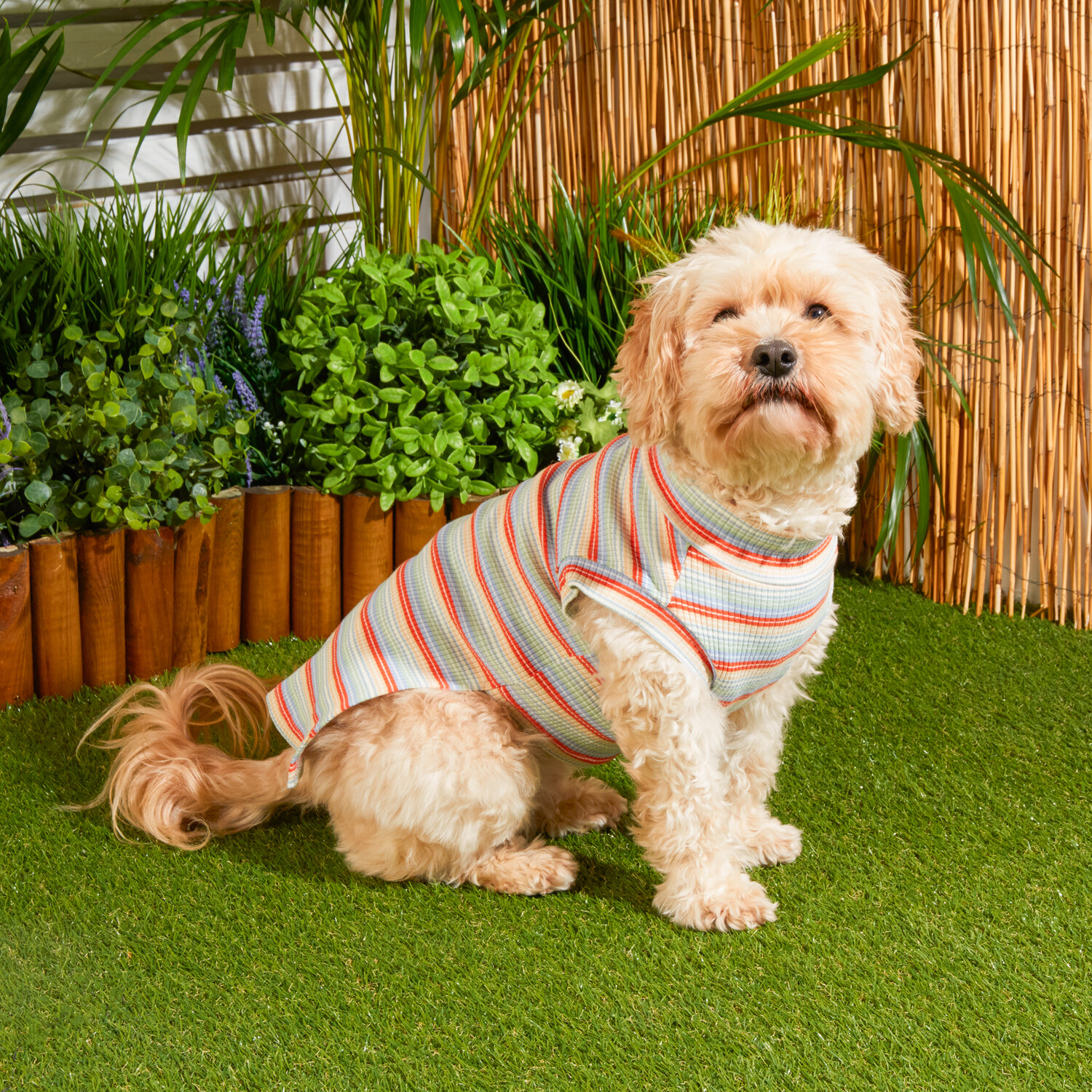 Striped Pet Jumper - Multicolour / 23cm Image 2
