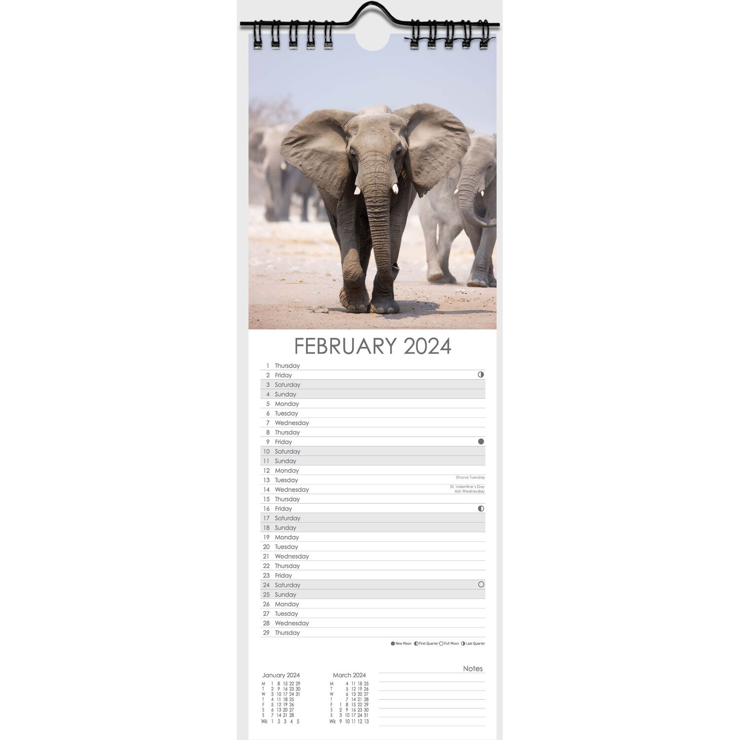 Wildlife Slim Spiral Calendar Image 5