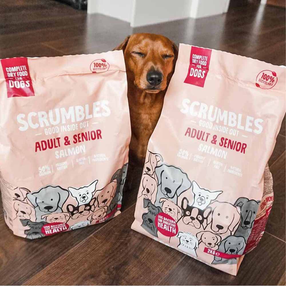 Scrumbles Salmon Adult Dry Dog Food 2kg Image 5