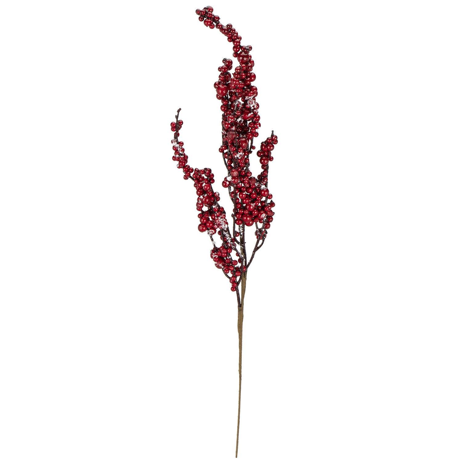 Frosted Red Berry Spray Image