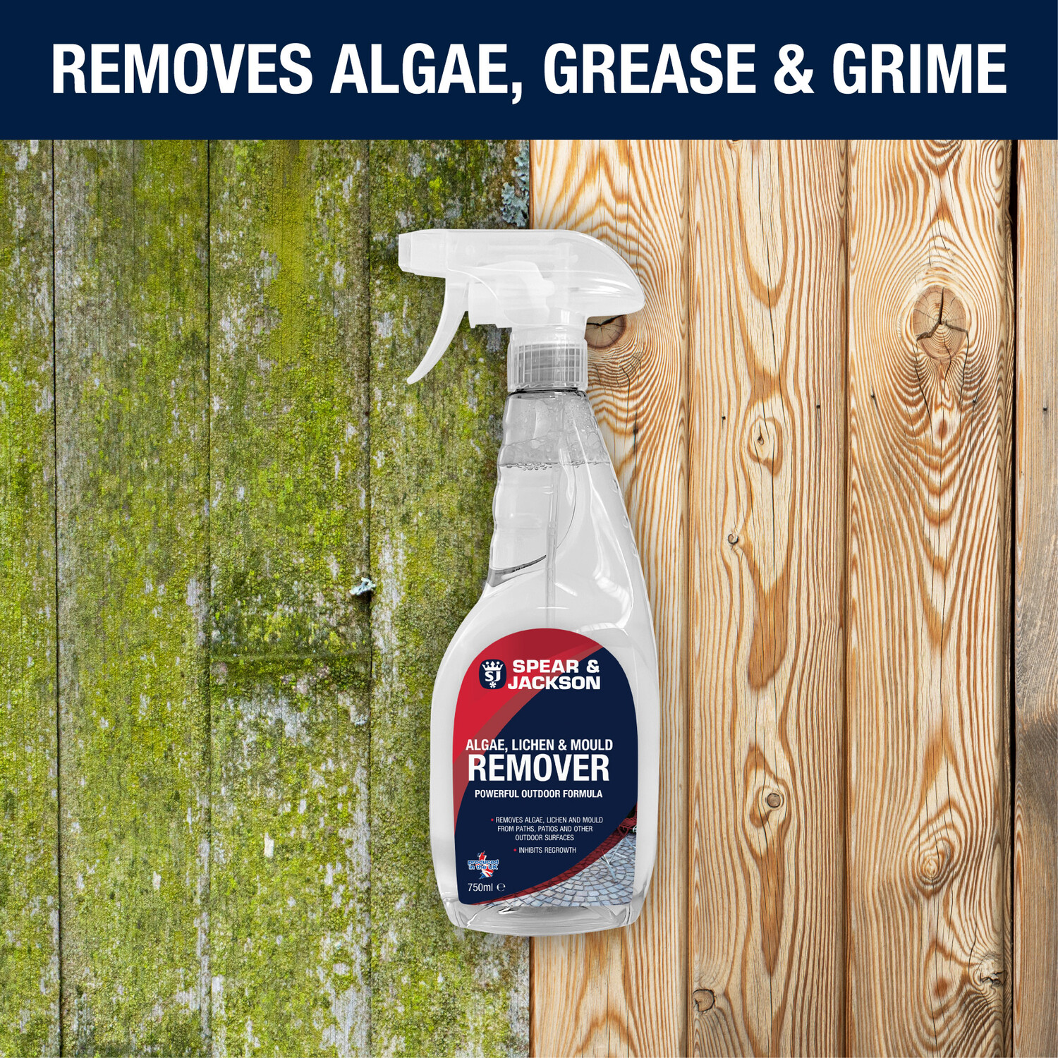 Algae Lichen and Moulder Remover Image 3