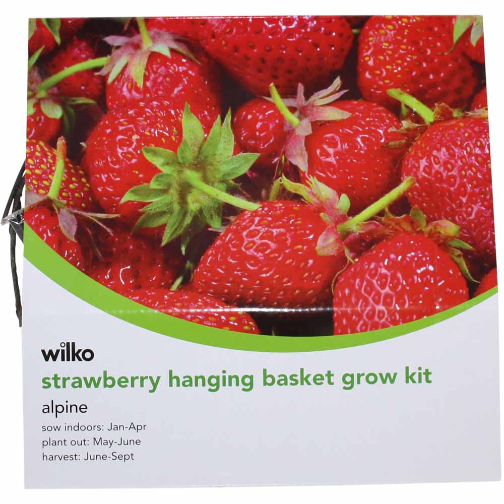 Wilko Summer Strawberry Hanging Basket 30 x 30 x 16cm Image 2