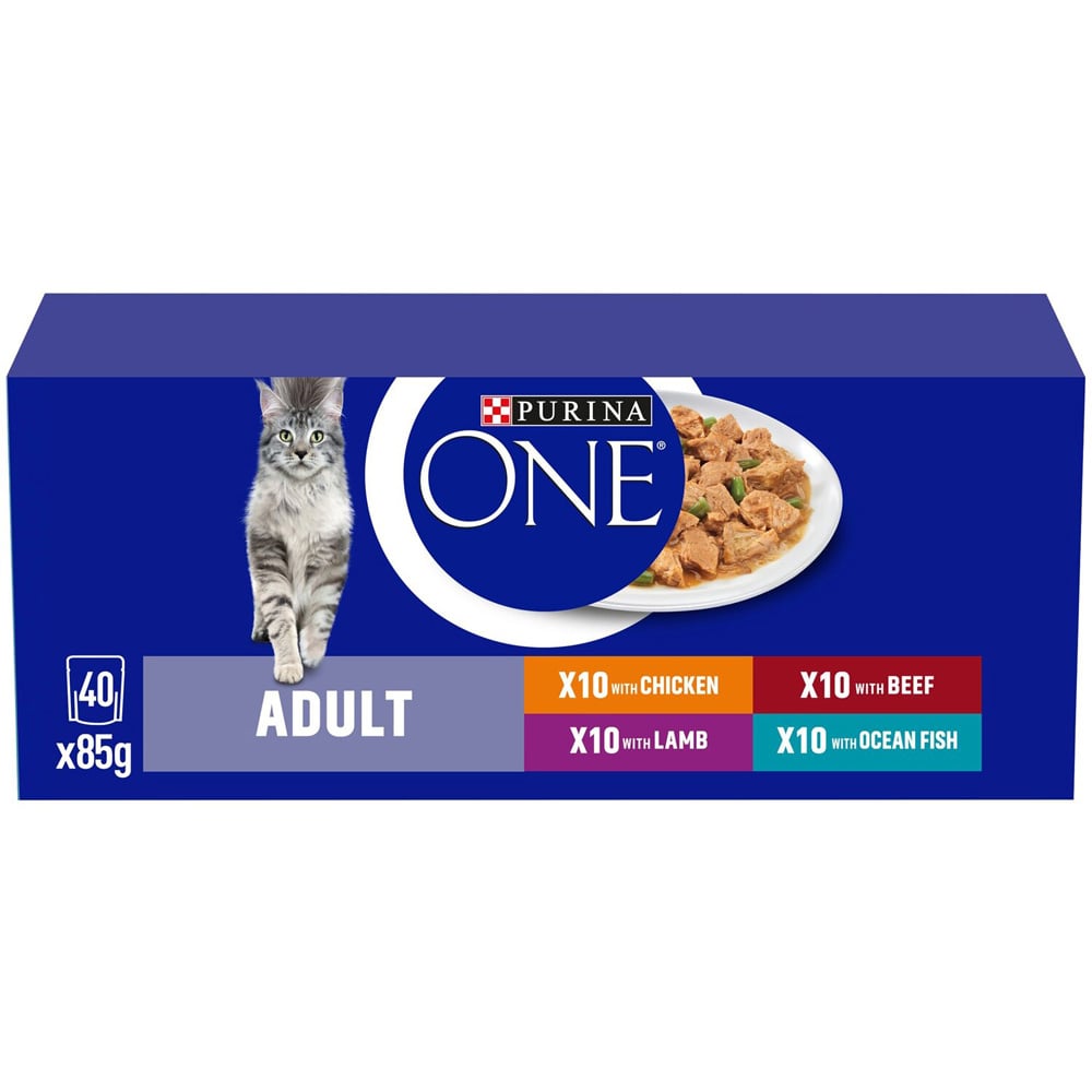 Purina One Mini Fillets in Gravy Adult Cat Food 40 Pack Image 1