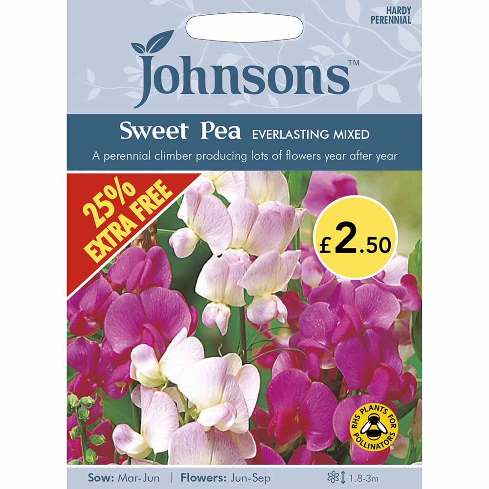 Johnsons  Sweet Pea Everlasting Seeds Image 1