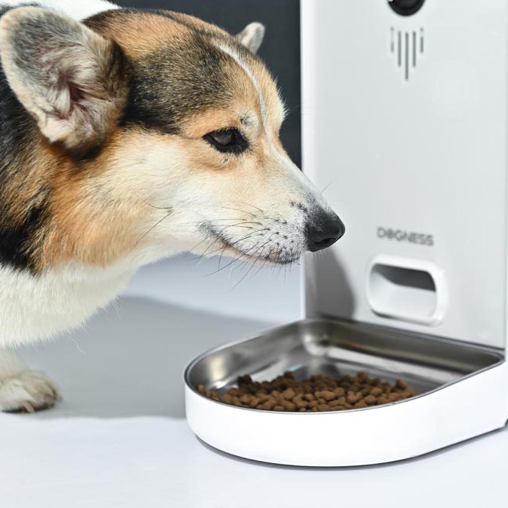 Dogness Smart Camera Pet Feeder Image 4