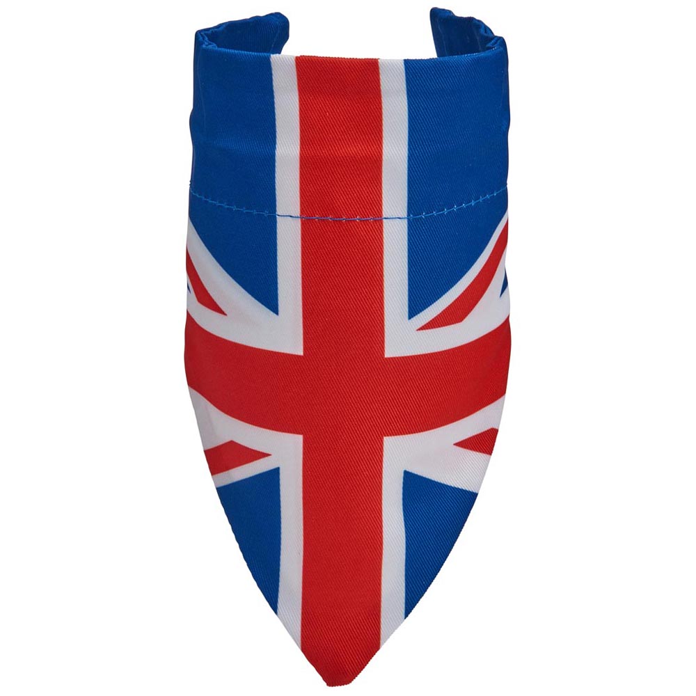 Wilko Jubilee Dog Bandana Wilko