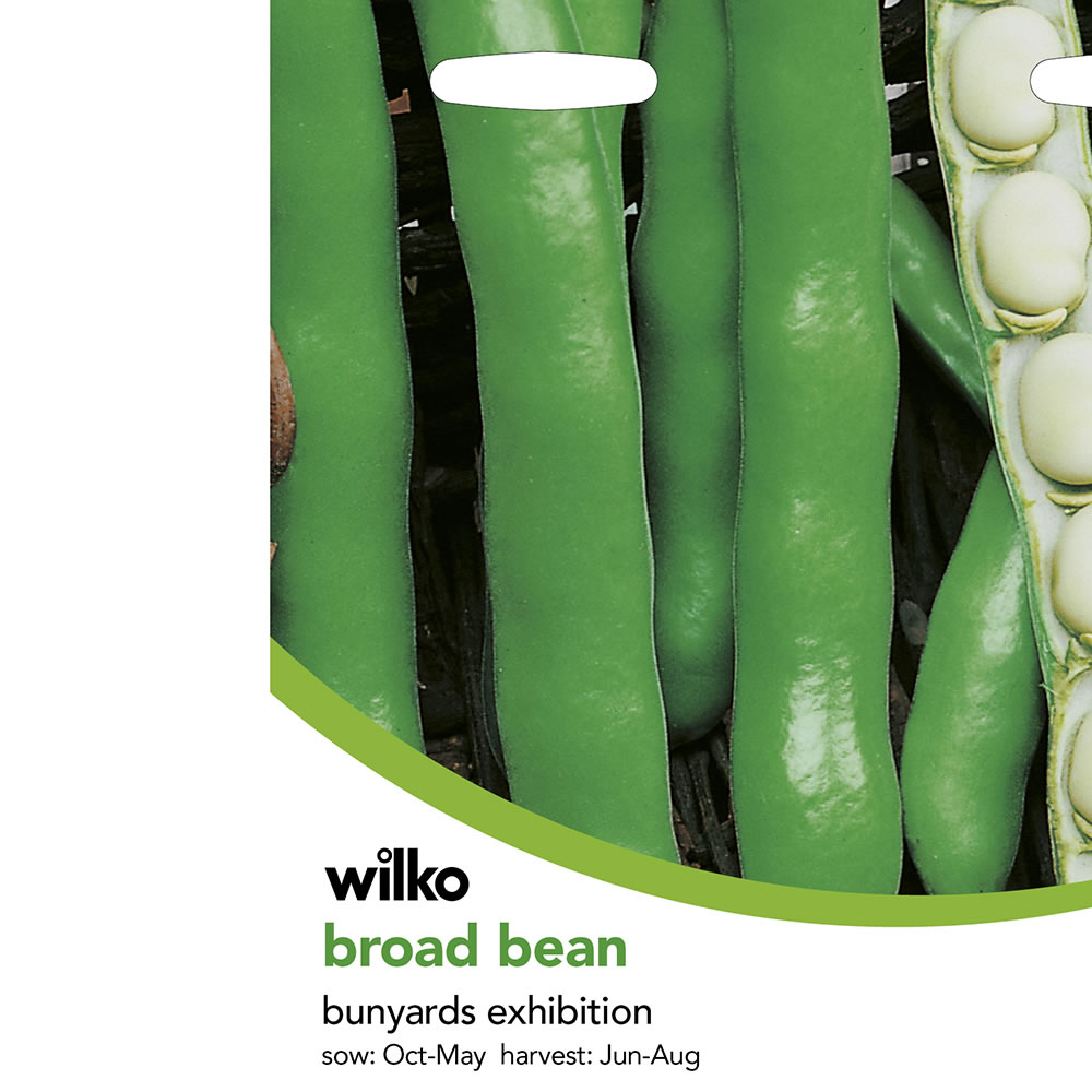 Wilko Broad Bean Bunyards Exhibition Seeds Image 2