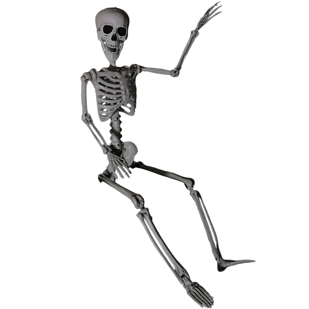 Samuel Alexander Posable Full Body Halloween Skeleton Decoration with Movable Joints 90cm 6 Pack Image 1