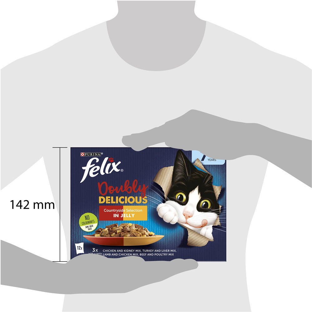 Felix Doubly Delicious Meat Senior Cat Food 12 x 100g Image 8