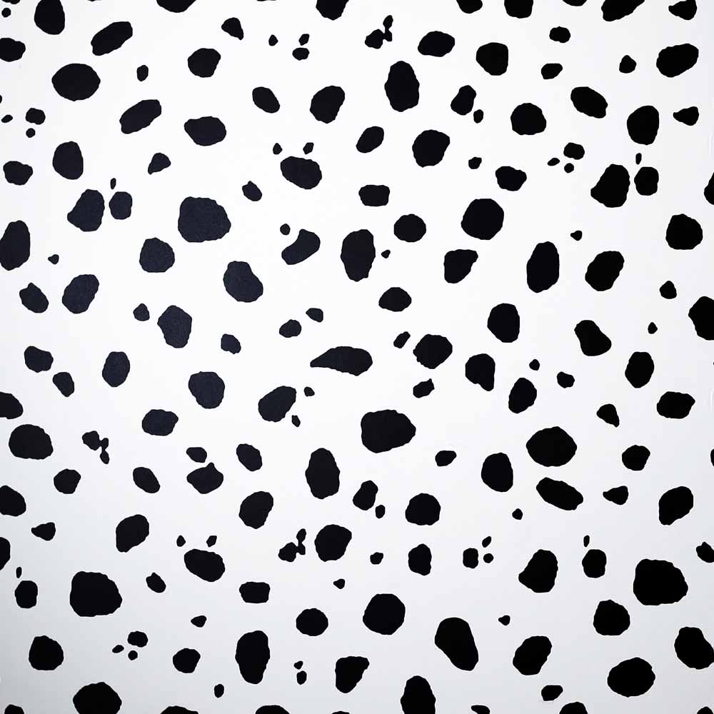 Arthouse Dalmatian Mono Wallpaper Wilko