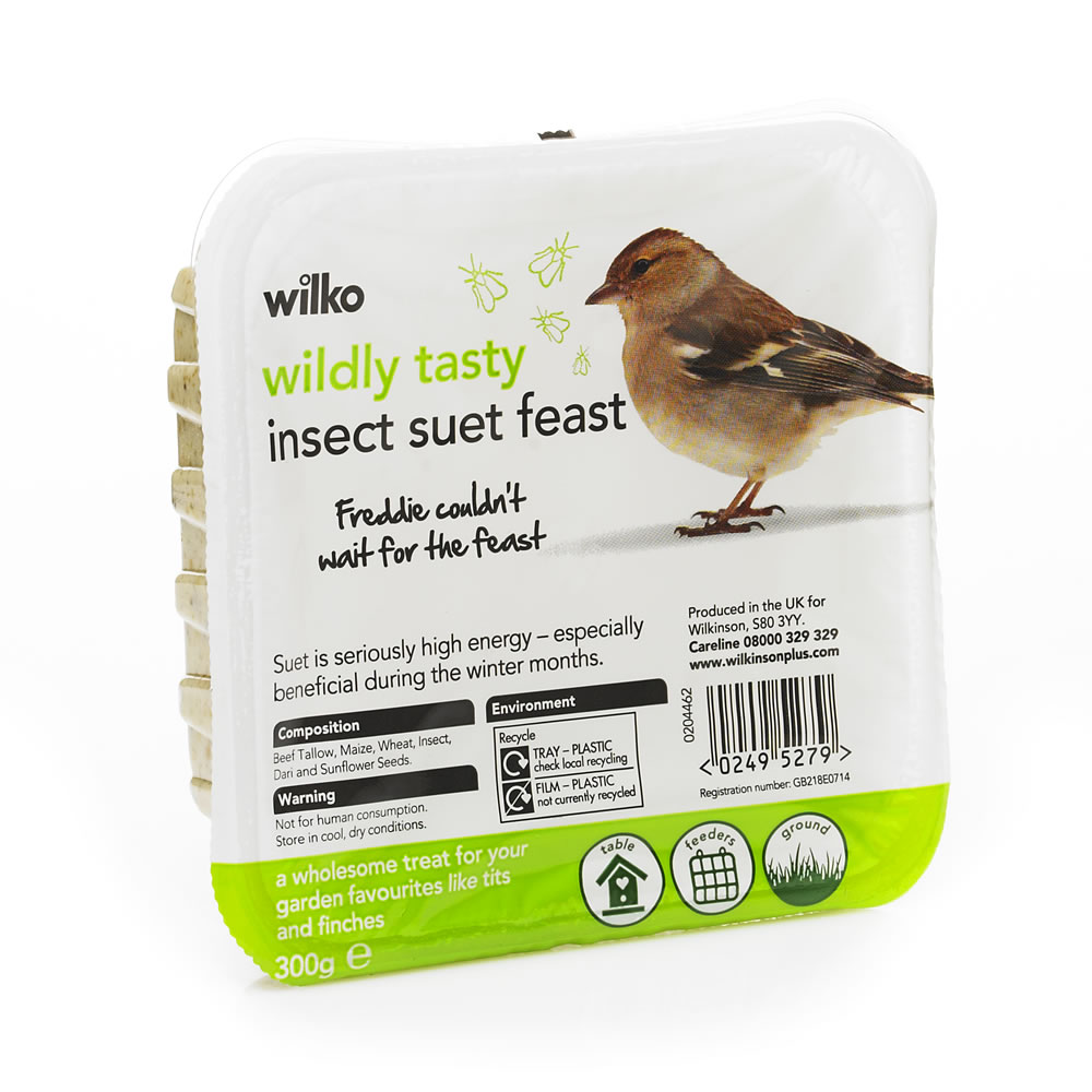 Wilko Wild Bird Insect Suet Feast 300g Image