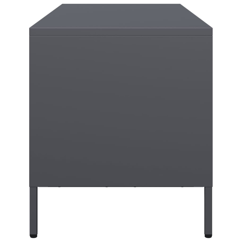 vidaXL 2 Drawer 2 Shelf Anthracite Steel Industrial Style TV Cabinet Image 6