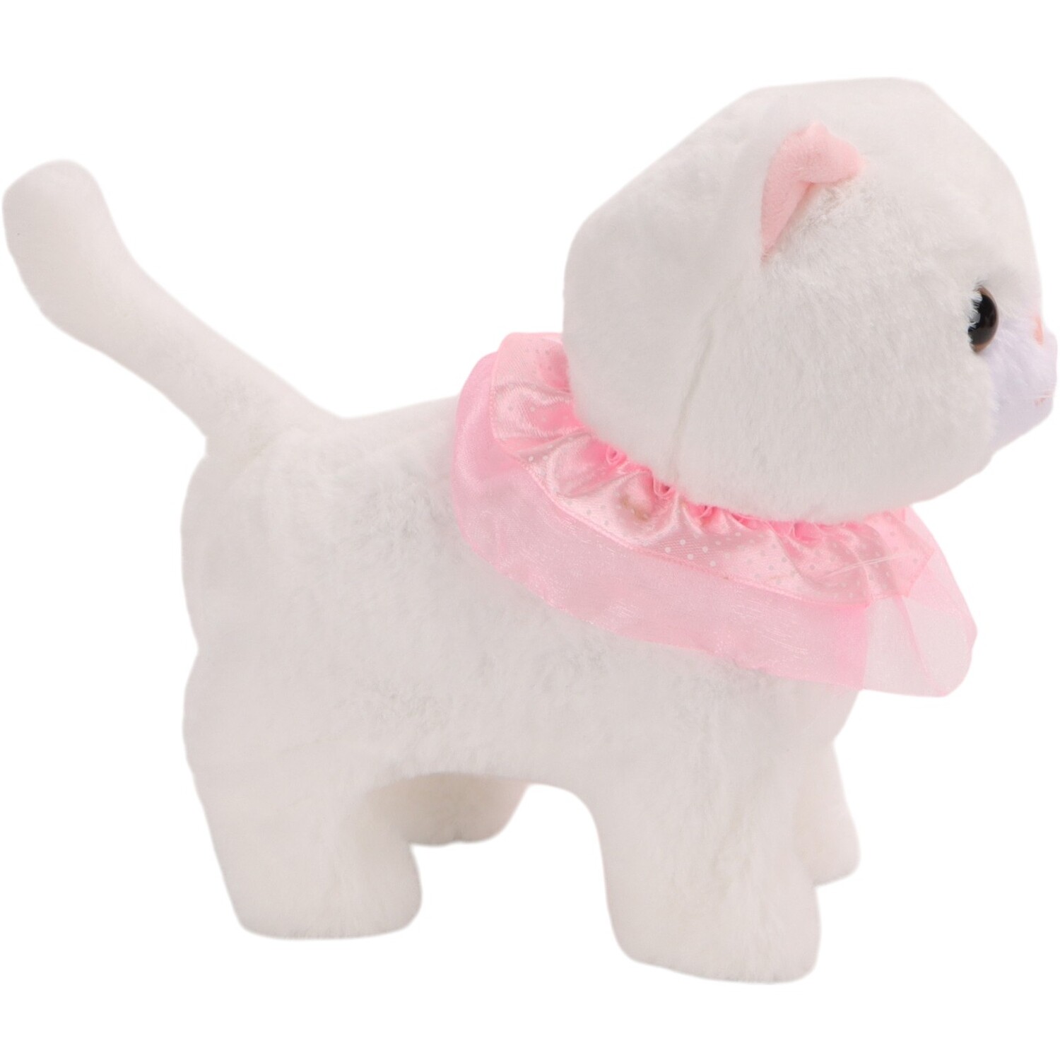Cat with Lead Toy White Image 4
