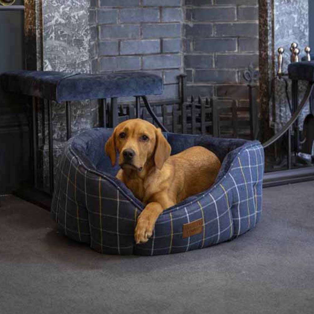House Of Paws Navy Check Tweed Oval Snuggle Dog Bed Large Image 4