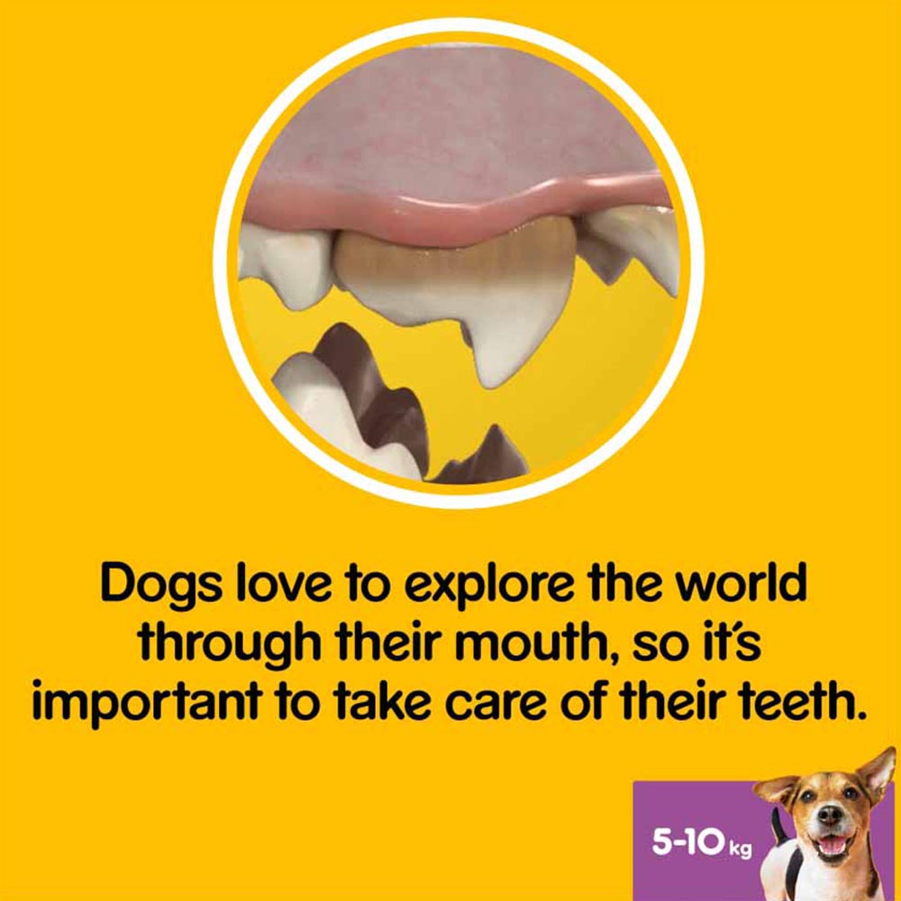 Pedigree 56 pack Dentastix Daily Dental Chews Medium Dog Treats Image 6
