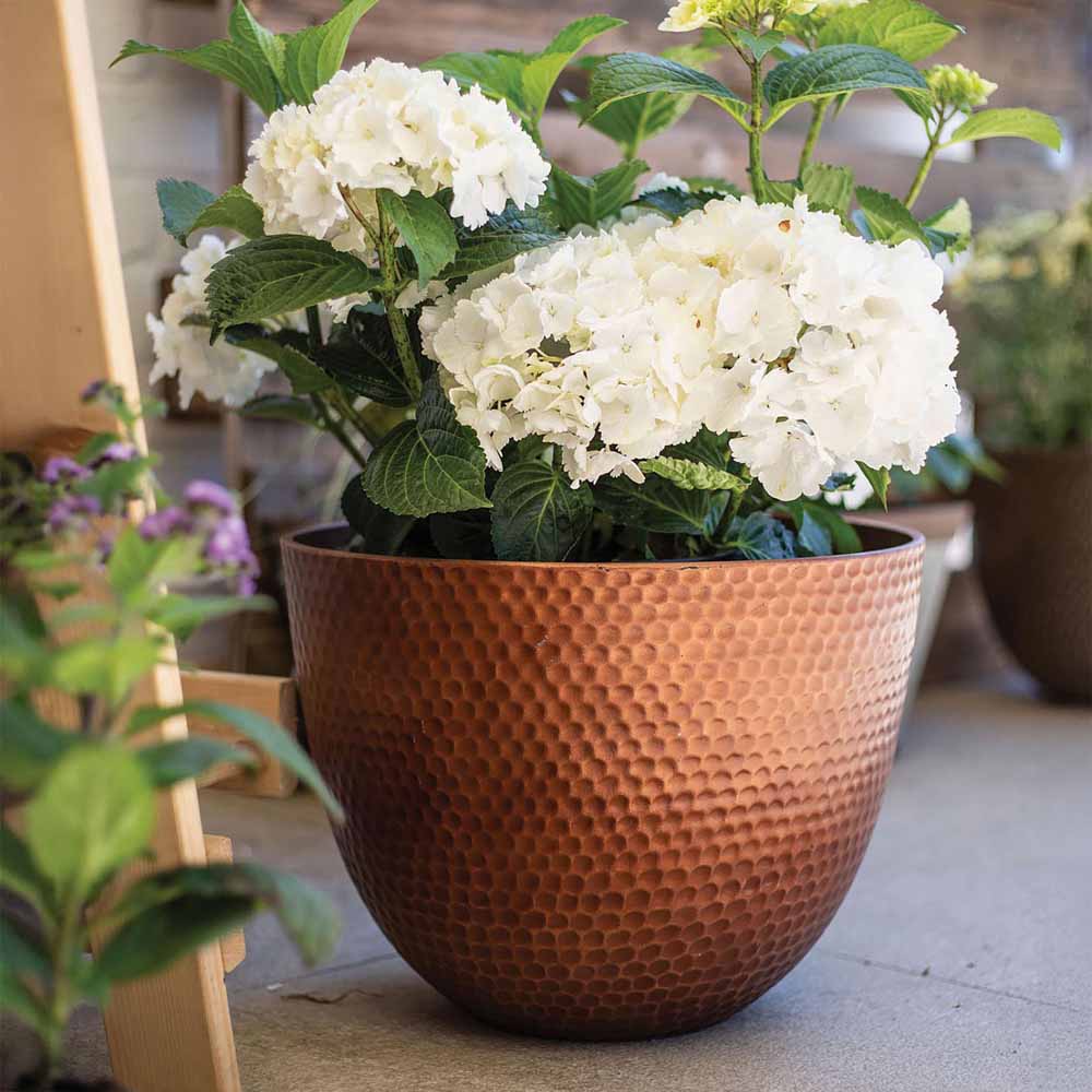 Plant Avenue Elements Copper Plant Pot 38cm Image 5