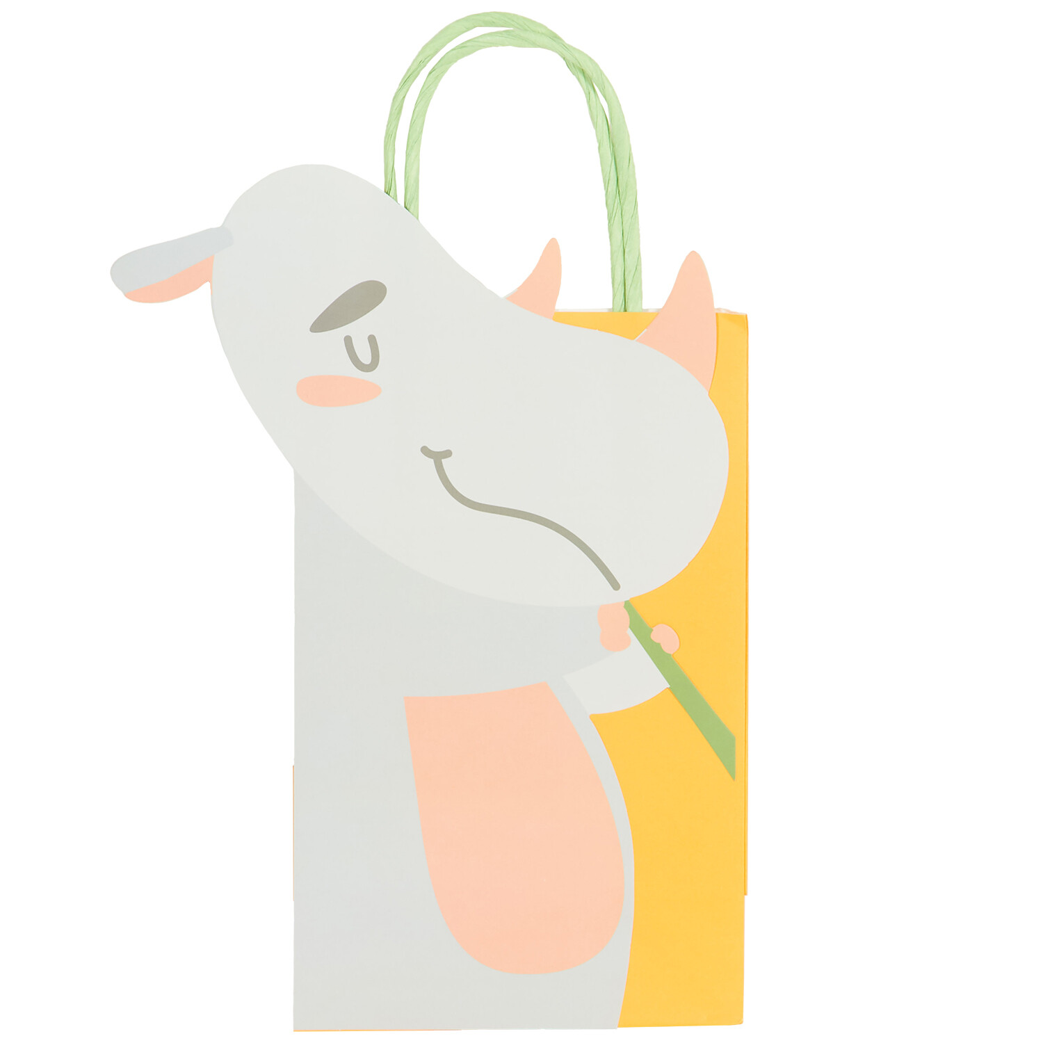 Pack of 8 Safari Party Gift Bag - Multicolour Image 5