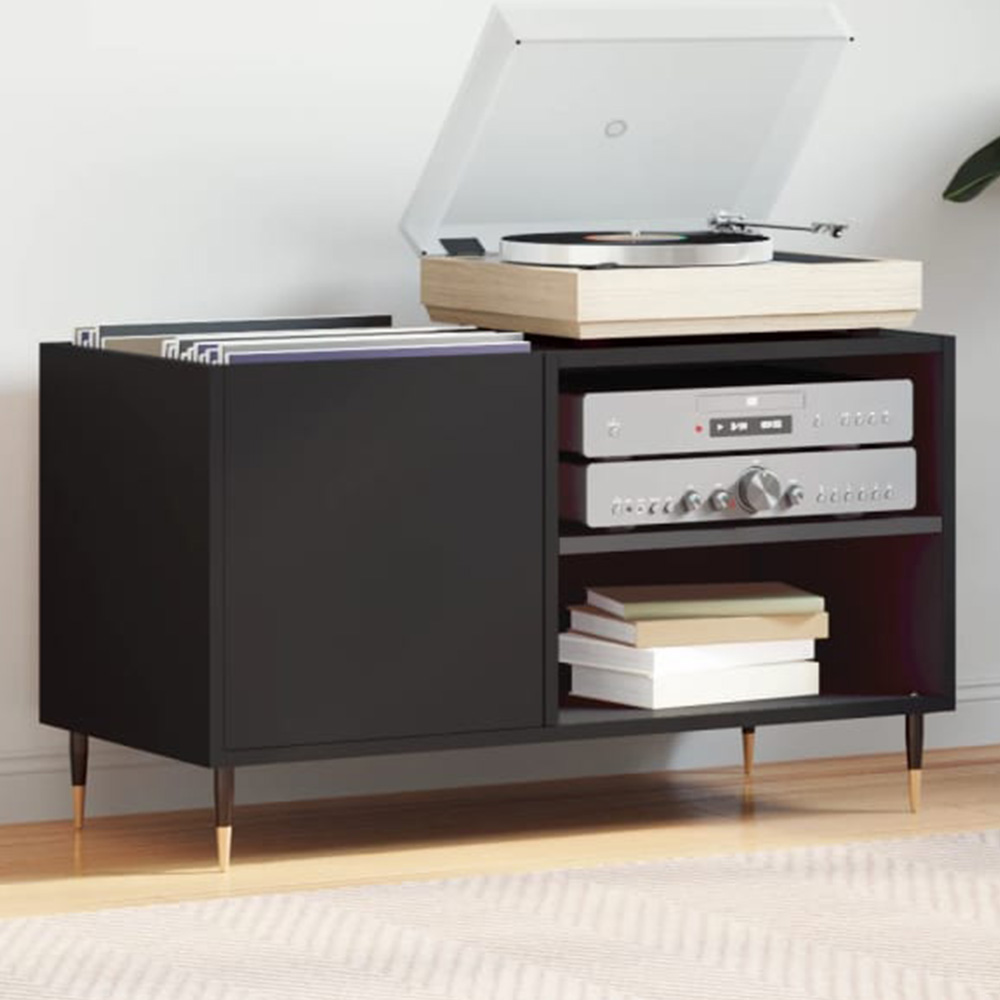 vidaXL 2 Shelf Black Record Cabinet Image 1