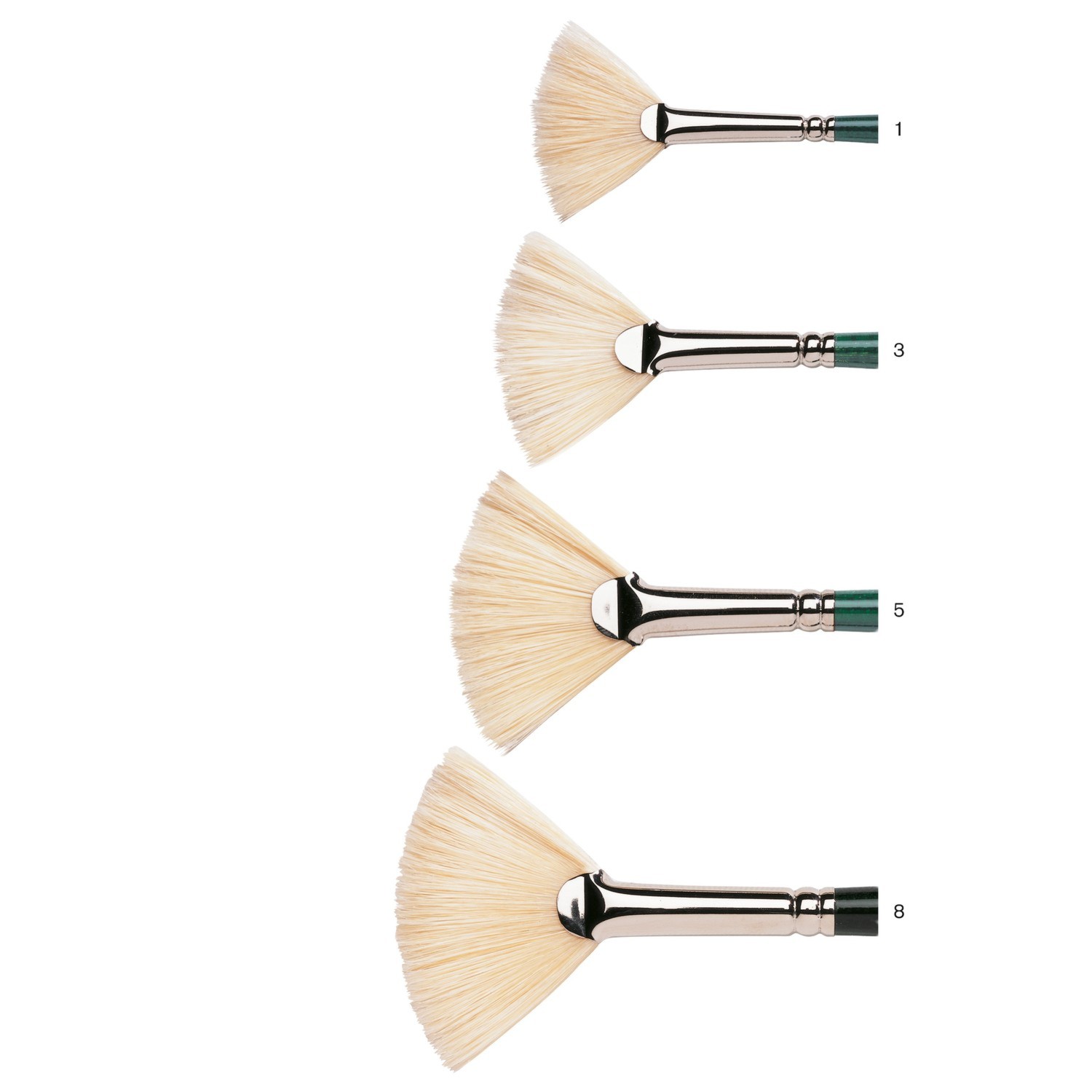 Winsor and Newton Winton Fan Hog Brush - No. 13 Image 2