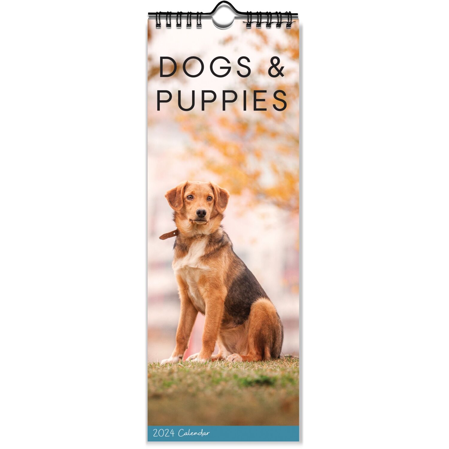 Cats and Dogs Slim Spiral Calendar Image 4