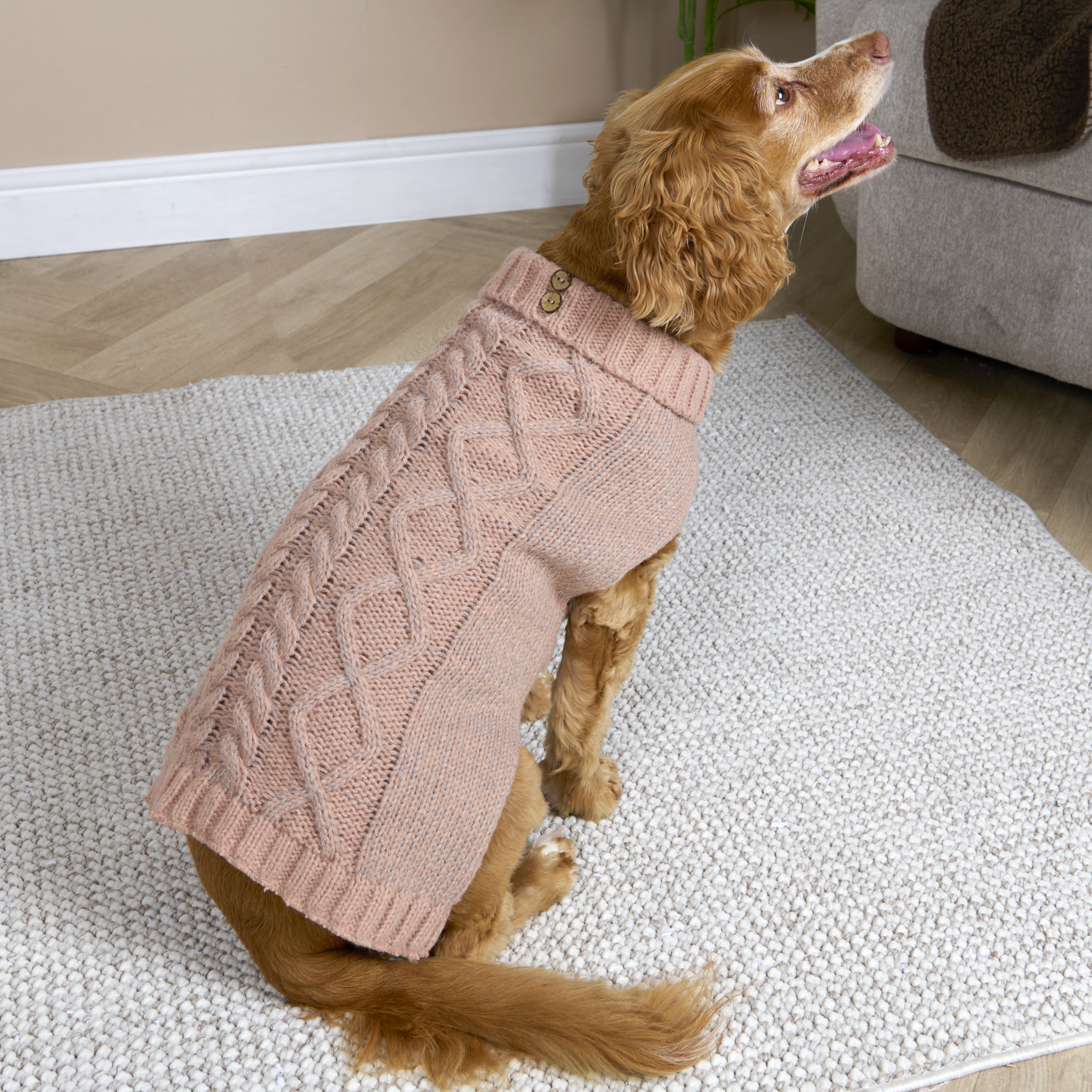 Reflective Roll Neck Pet Jumper M Image 2