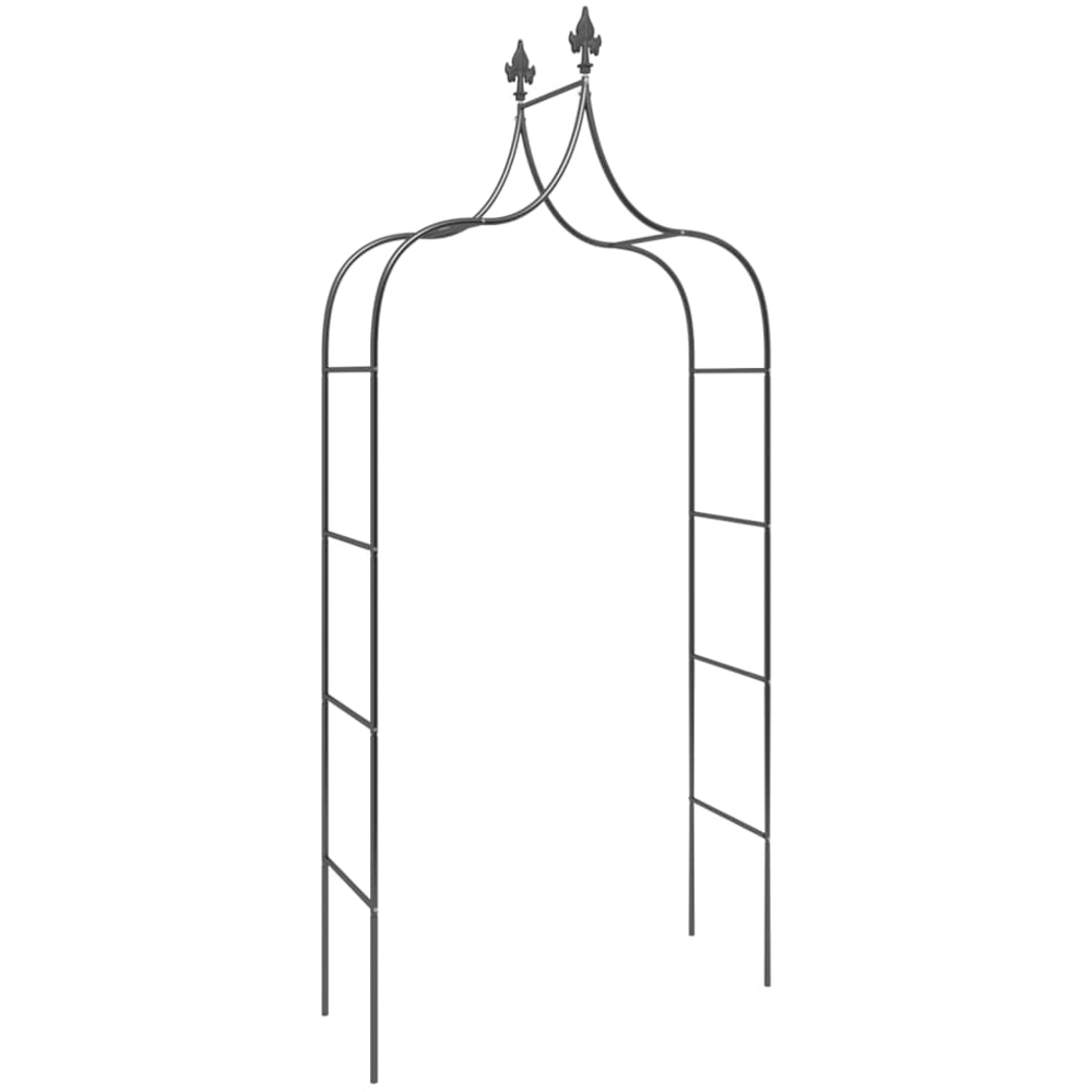 vidaXL Black Steel Rose Arch Garden Arbour 2 Pack Image 2