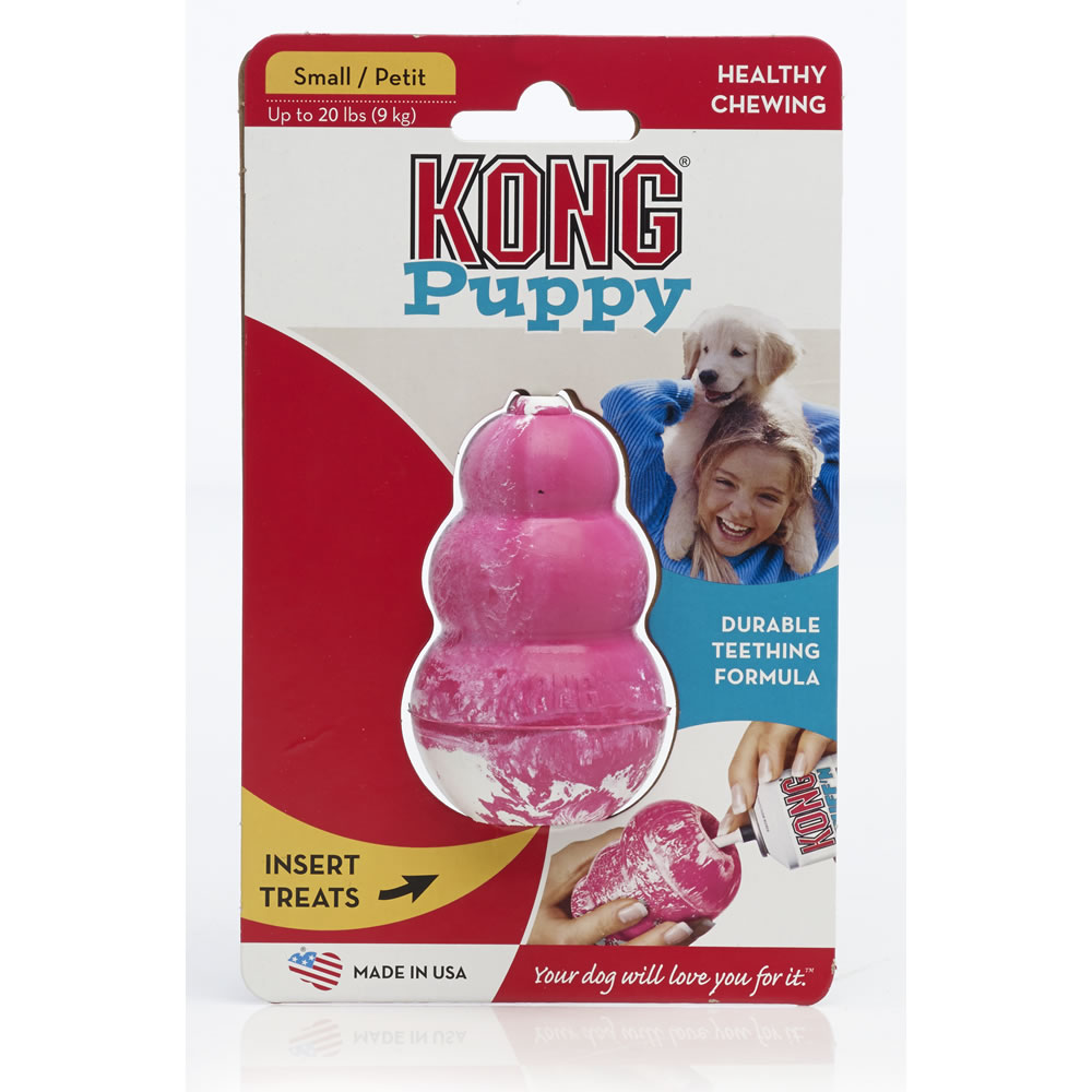 Kong Small Puppy Chewing Dog Toy Image