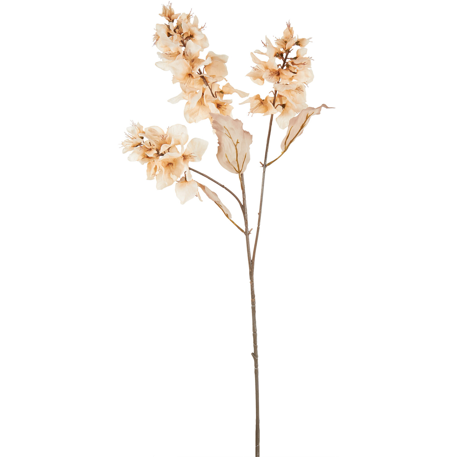 100cm Bougainvillea Stem - Cream Image 1