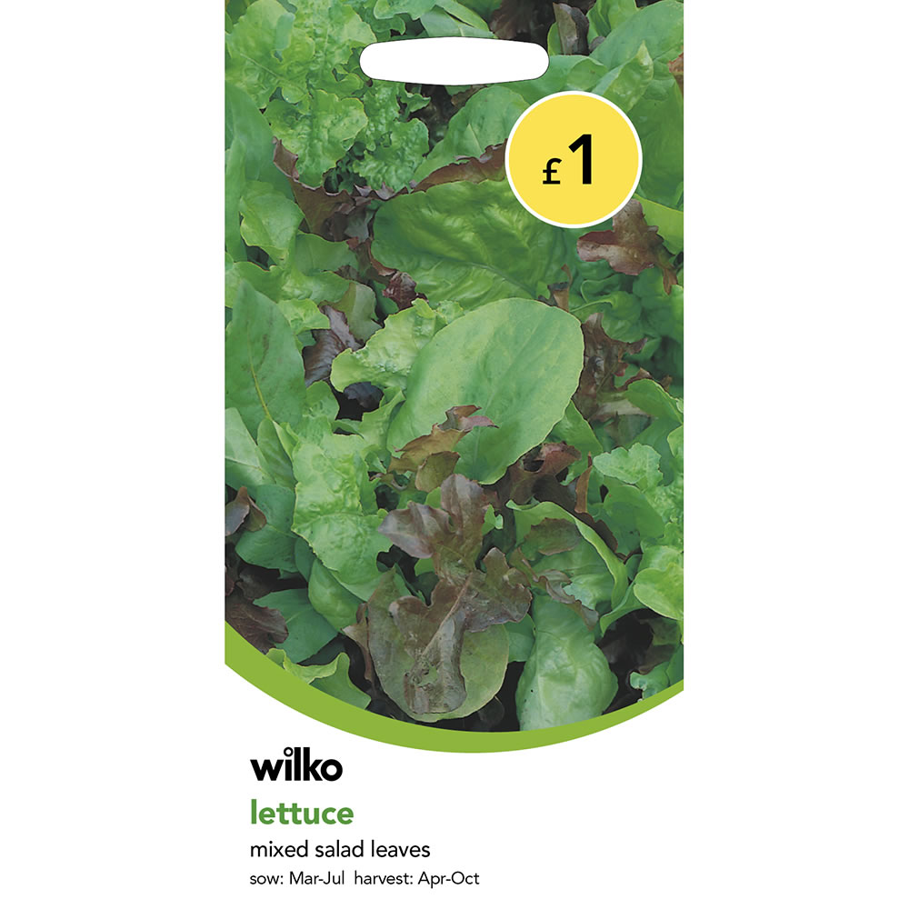Wilko Lettuce Mix Salad Leaves Seeds Image 2