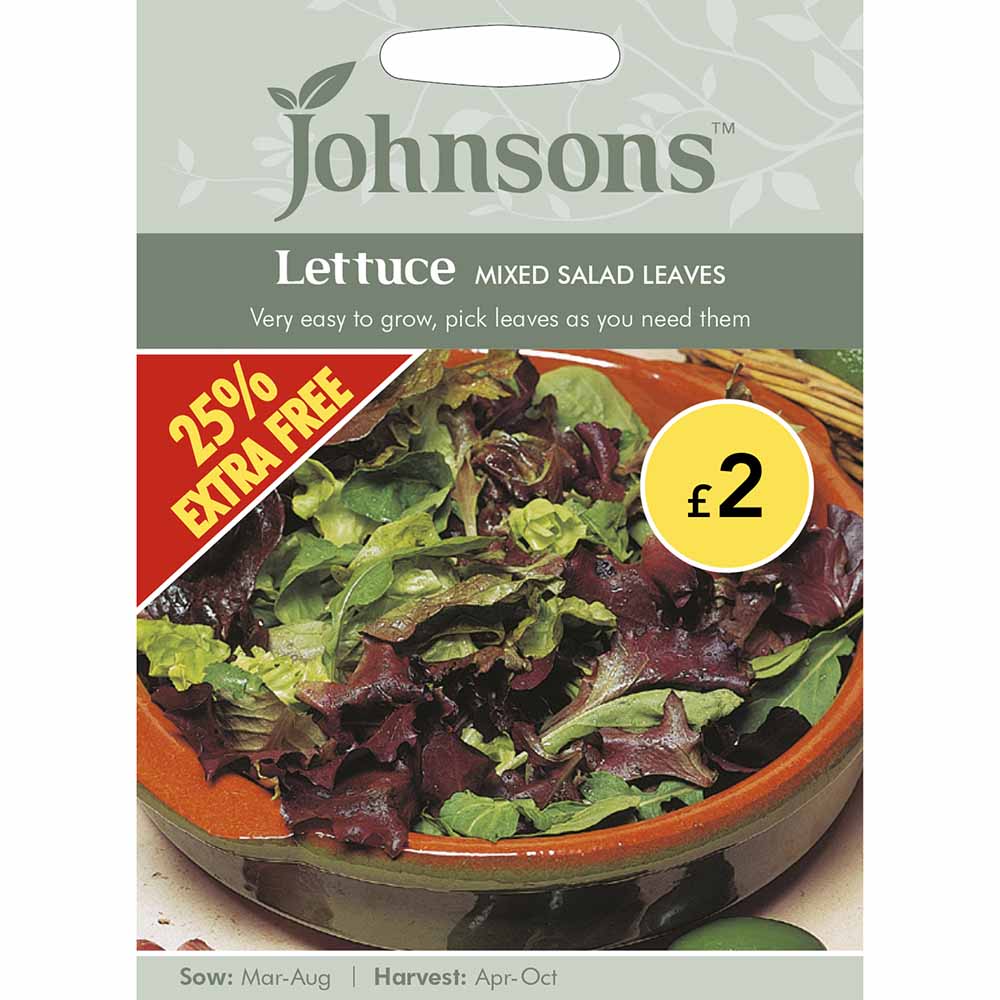 Johnsons  Lettuce Mixed Salad Leaves Seeds Image 1