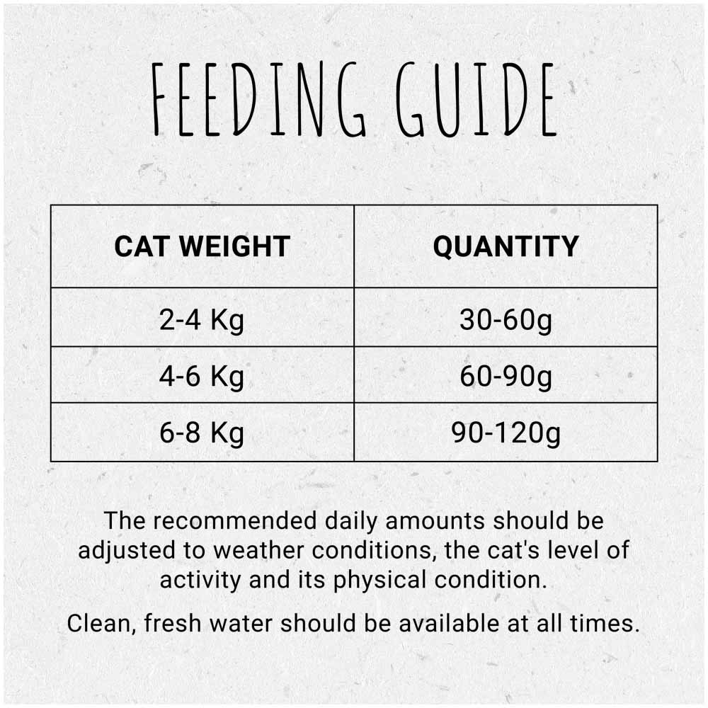 Beyond Simply Dry Cat Food Rich in Salmon 850g Image 9