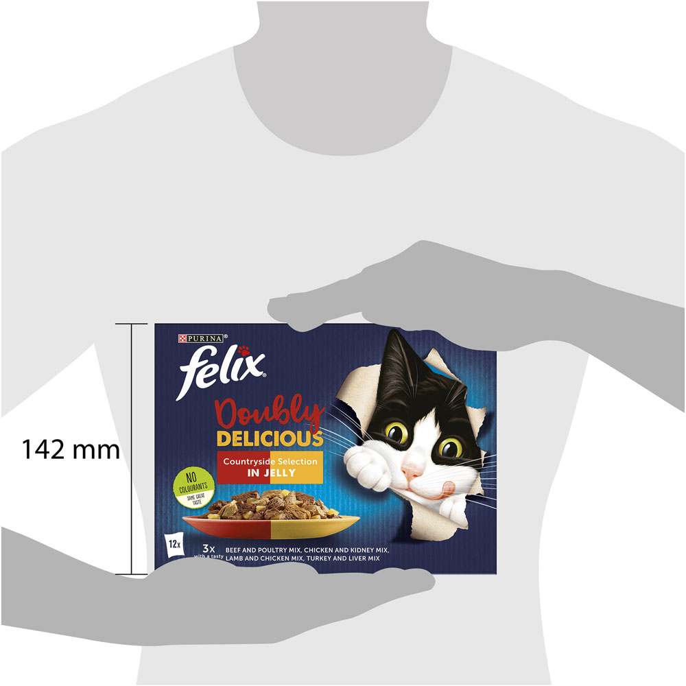 Felix Doubly Delicious Meat Cat Food 12 x 100g   Image 8