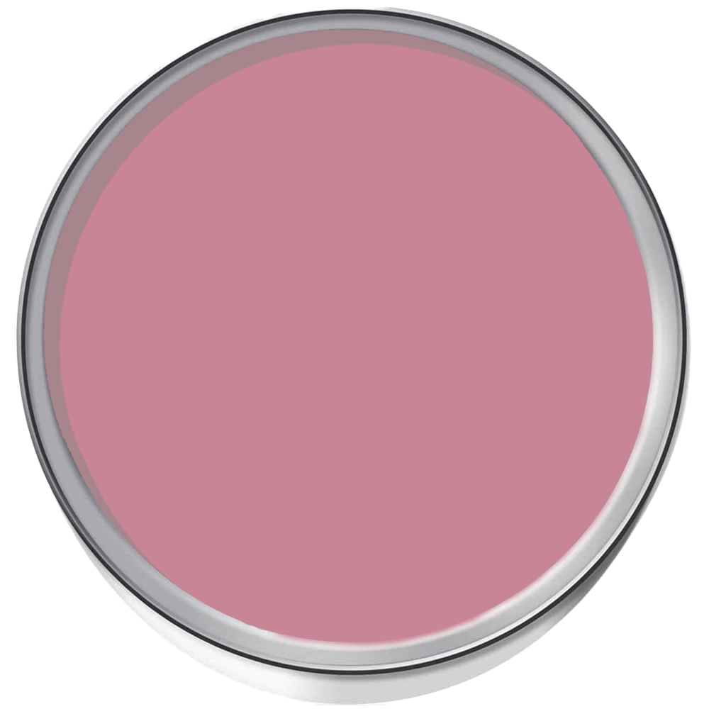 StoneCare4U Essential Walls & Ceilings Smooth Pink Anti Condensation Paint 5L Image 3