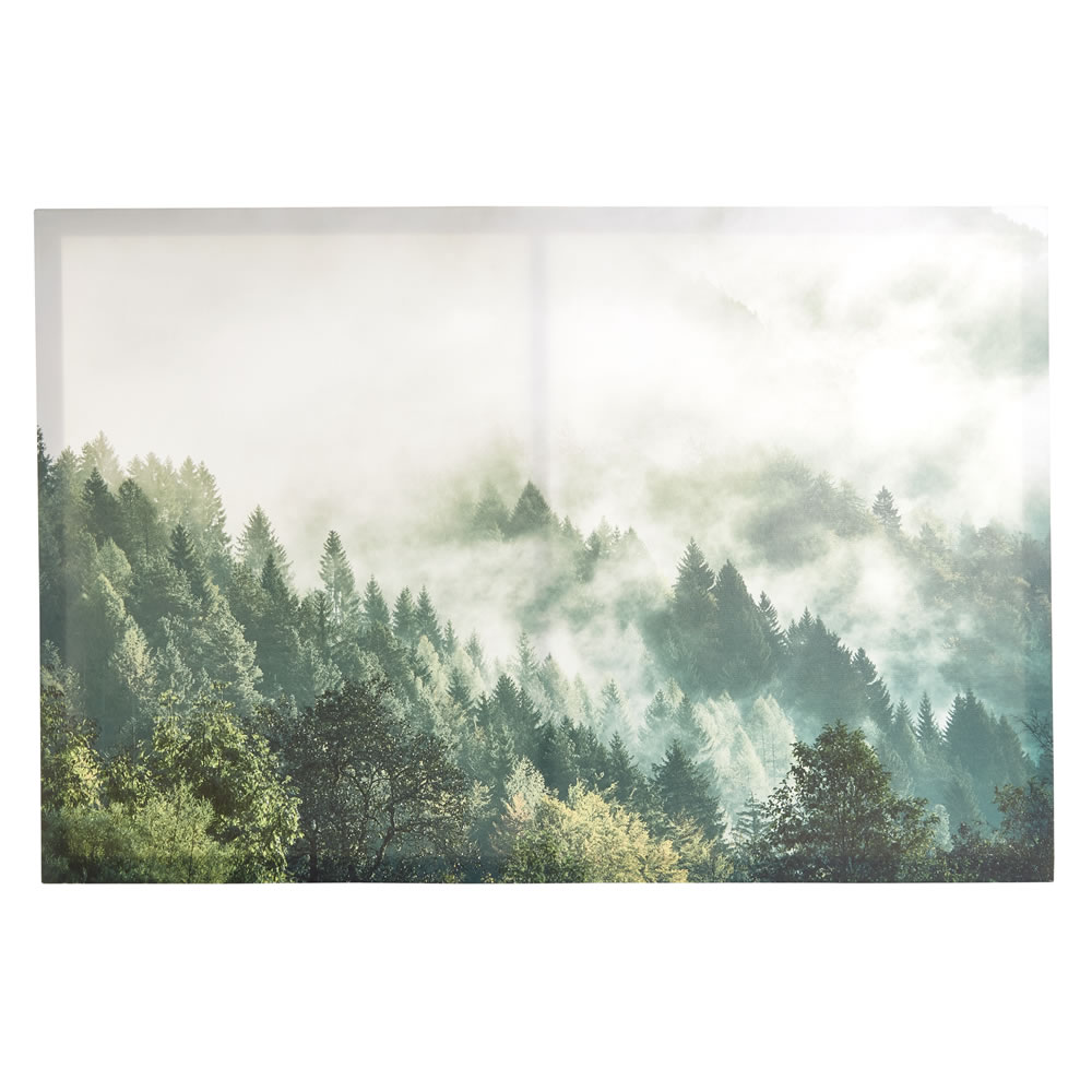 WIlko 60 x 90cm Misty Forest Canvas Image