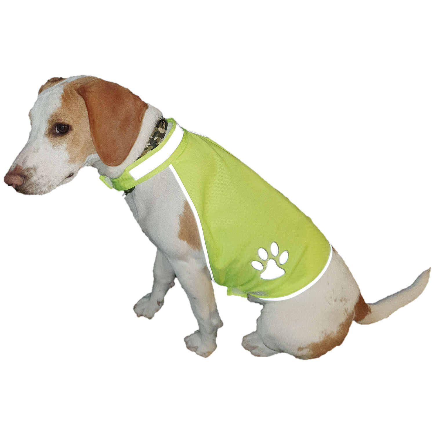 Reflective High Visibility Pawprint Pet Vest 50cm Image 1