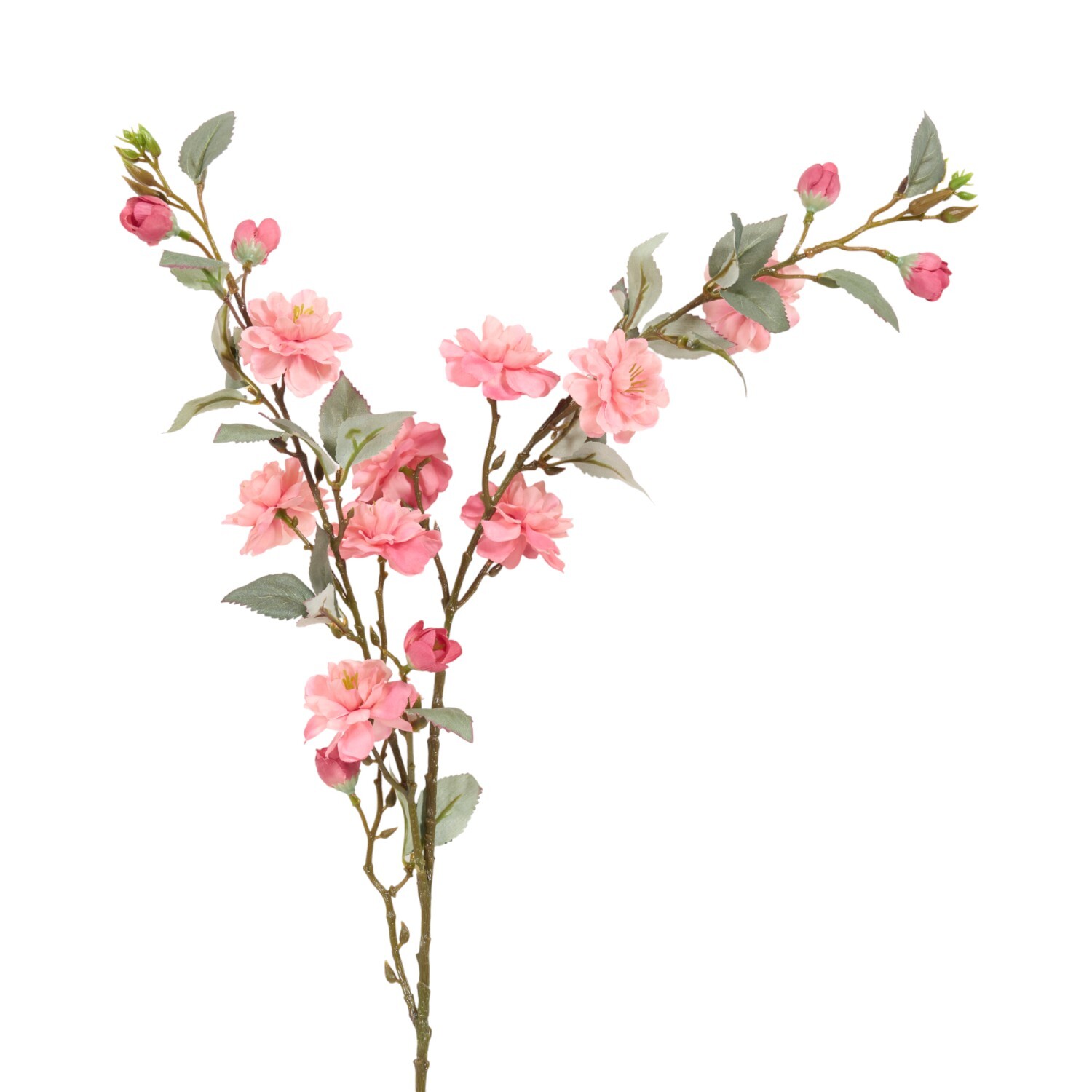 Camellia Stem Image 3