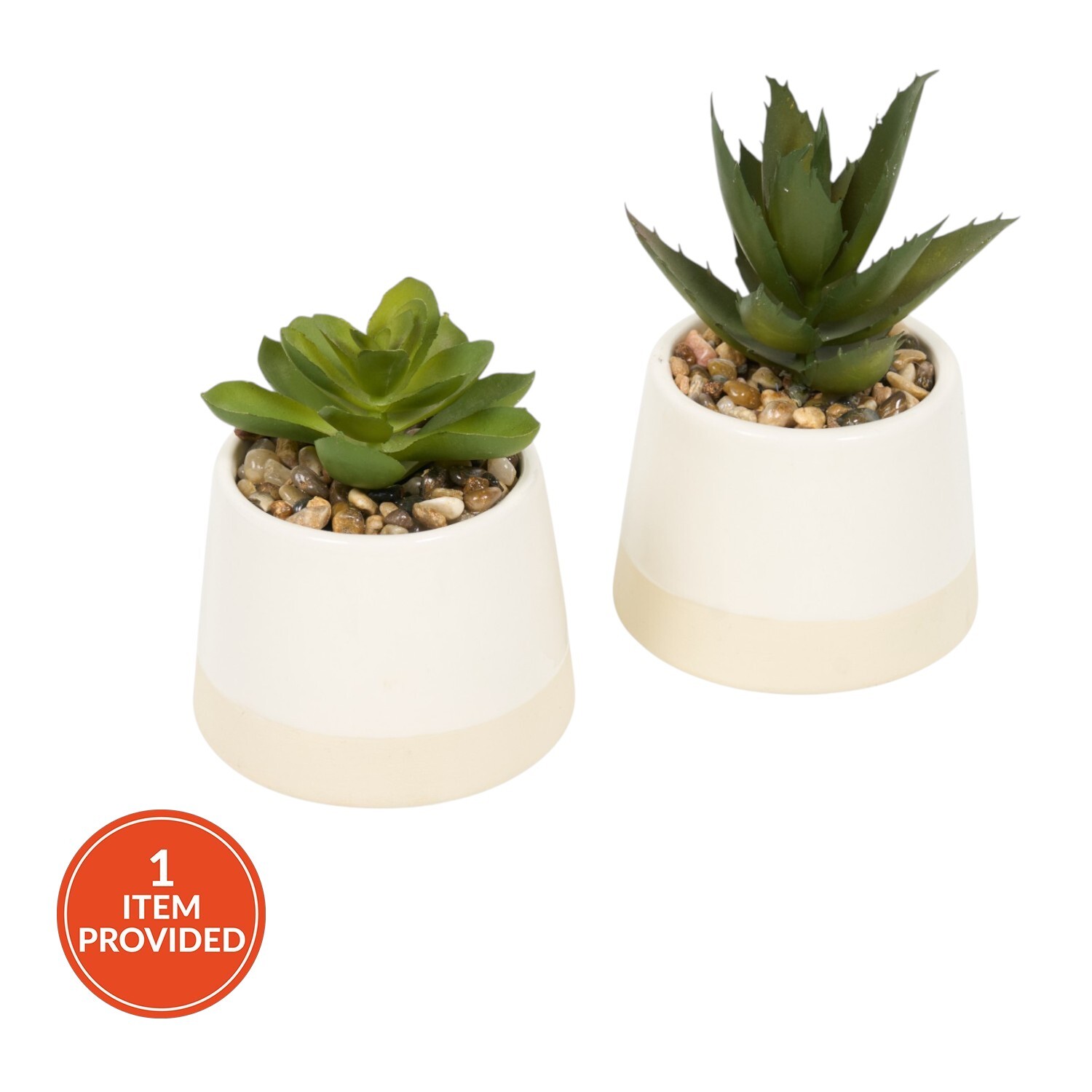 Mini Succulent Pot Image 2