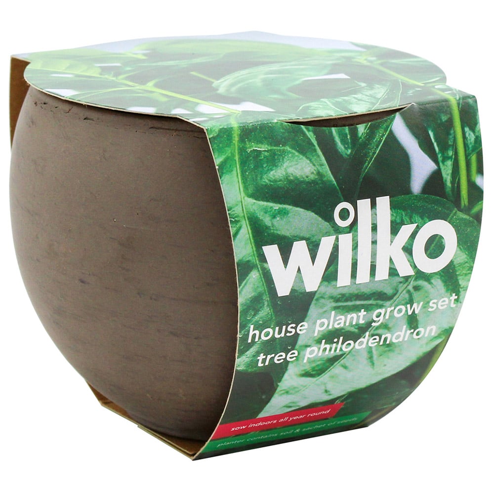 WilkoPhilodendron House Plant Grow Kit Image 4