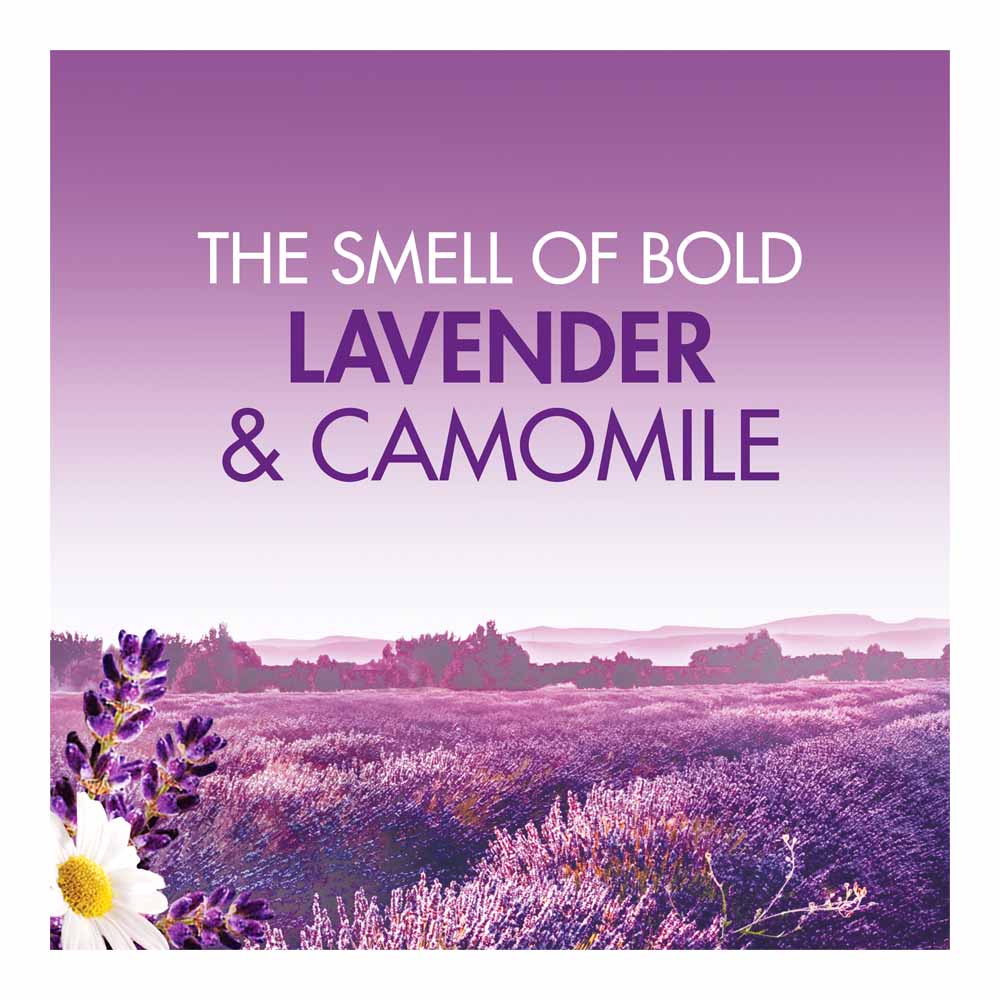 Bold 2in1 Powder Lavender & Camomile 75 Washes Image 3