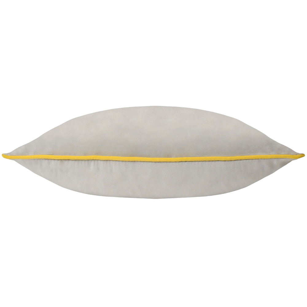 Paoletti Meridian Dove Cylon Velvet Cushion Image 2