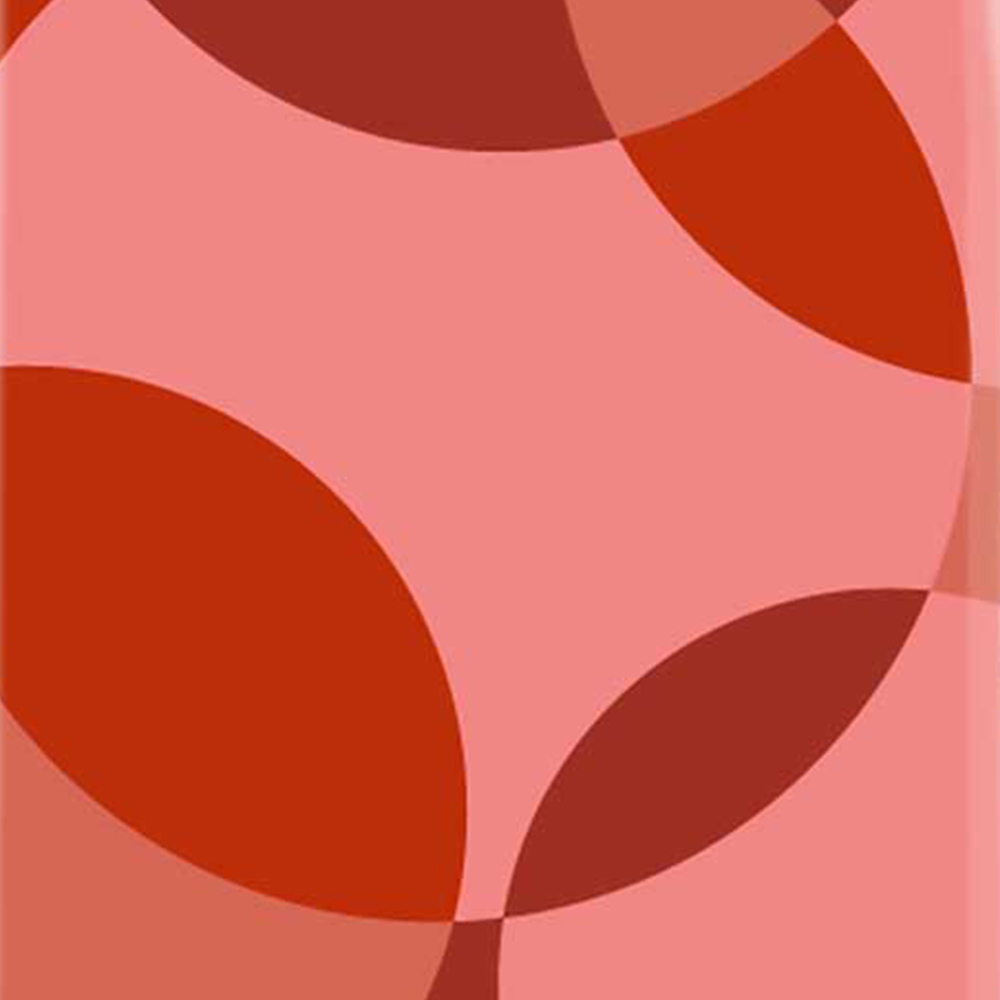 Warren Reed Designer Medium Red Circle Pattern Suitcase Image 3