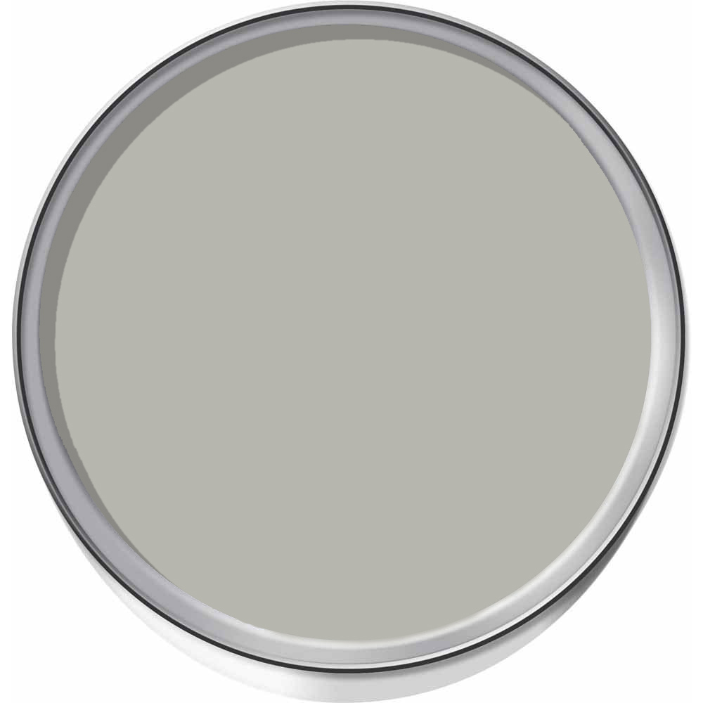 Johnstone's Feature Wall Champagne Metallic Paint 1.25L Image 3