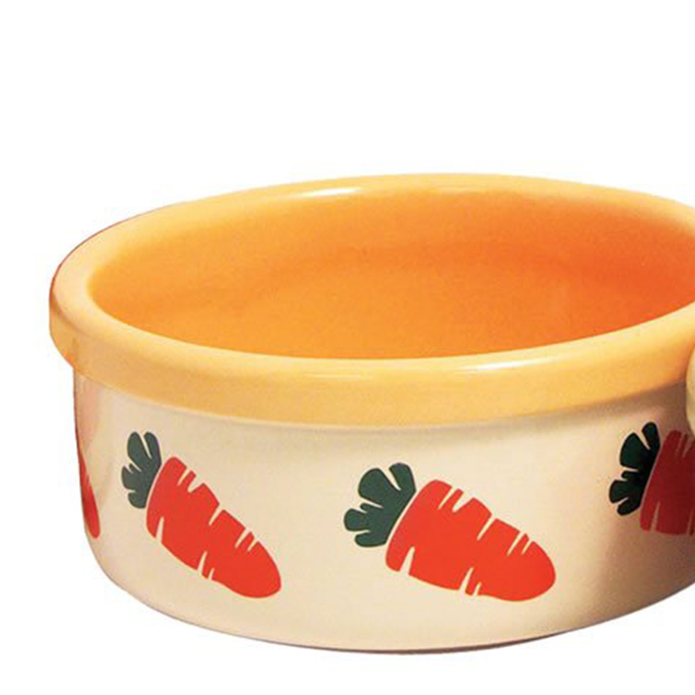 Single Wilko Small Animal Ceramic Carrot Bowl in Assorted styles Image 3