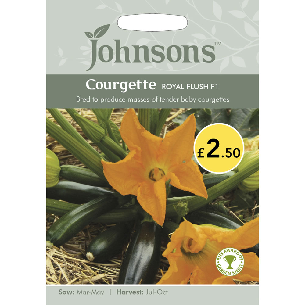 Johnsons Courgette Royal Flush F1 Seeds Image 2