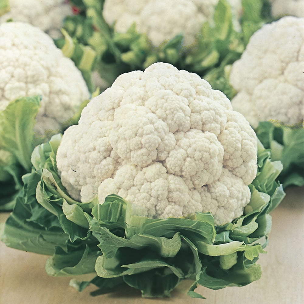 Johnsons Cauliflower All the Year Round Seeds Image 1