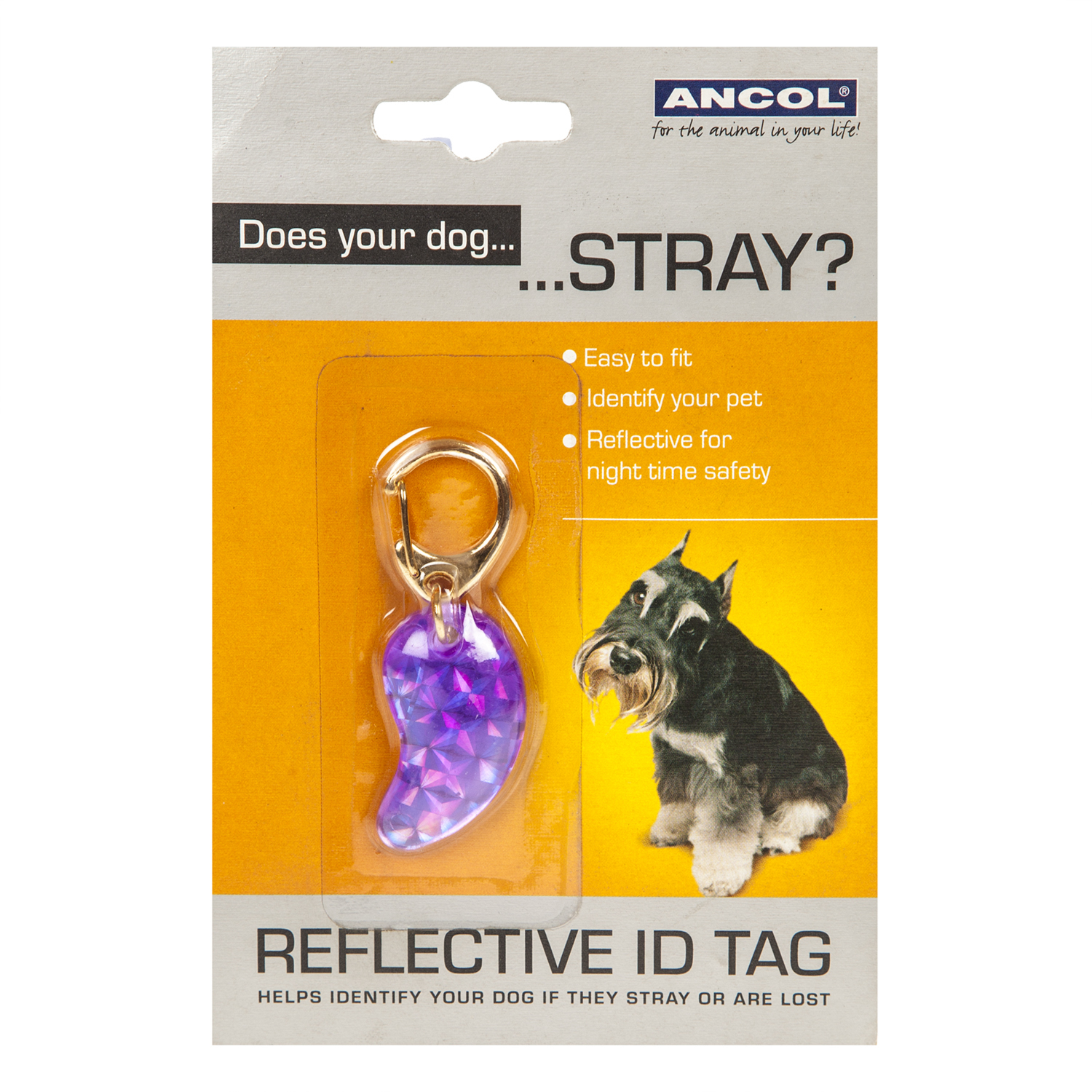 Reflective ID Tag for Dogs Image