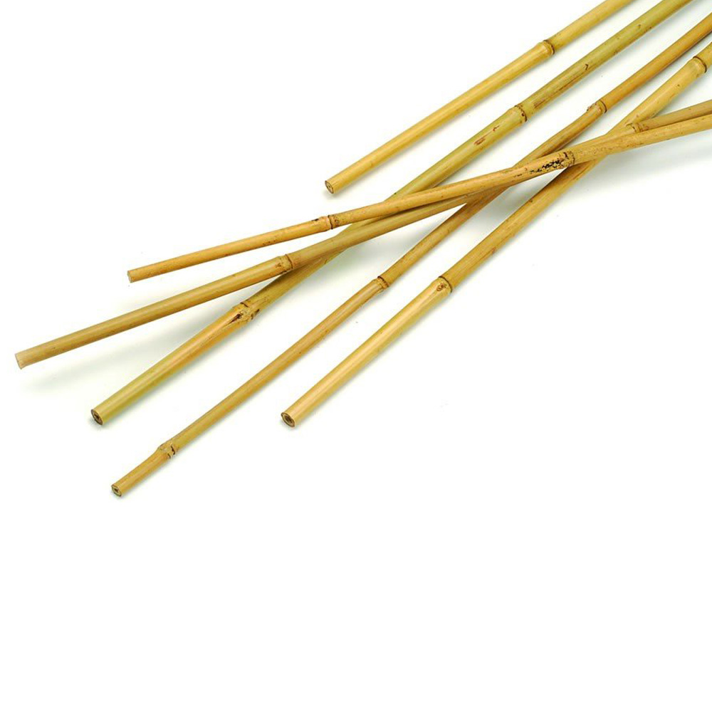 Wilko 90cm Plant Support Garden Cane 10 Pack Wilko