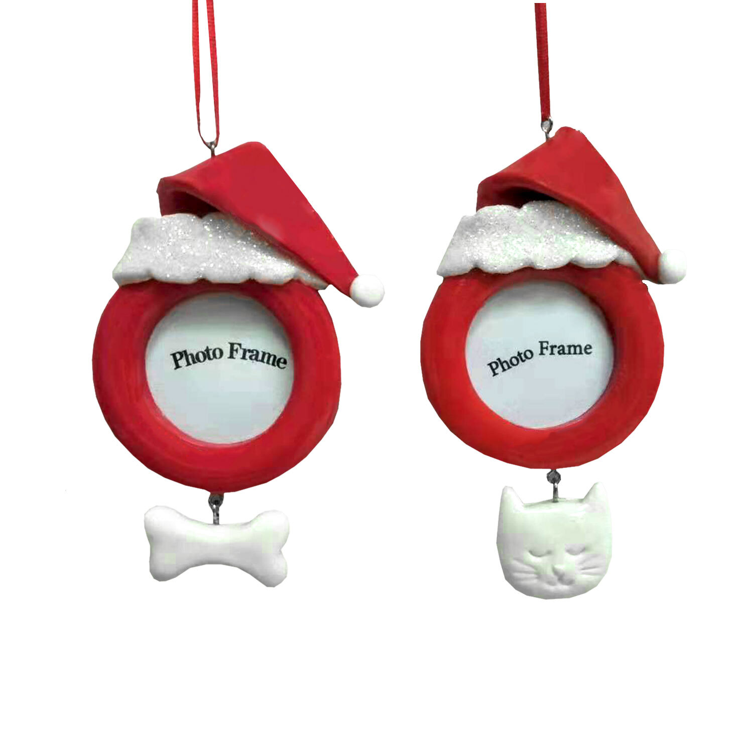 Cat/Dog Xmas Photo Image